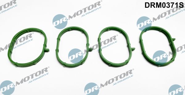 Dr.Motor Automotive DRM0371S - Dichtungssatz, Ansaugkrümmer
