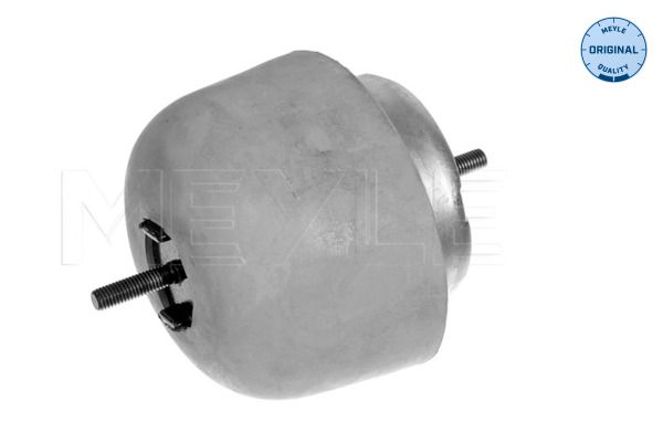 MEYLE 100 199 0056 - Lagerung, Motor