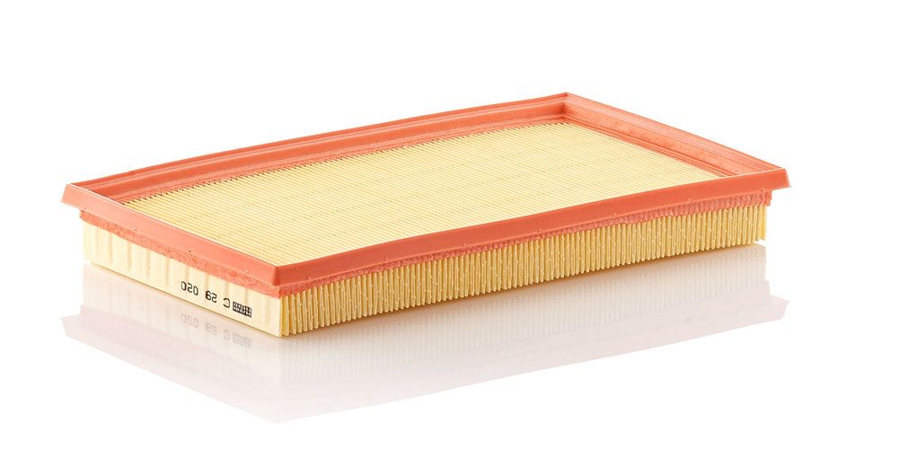 MANN-FILTER C 29 020 - Luftfilter