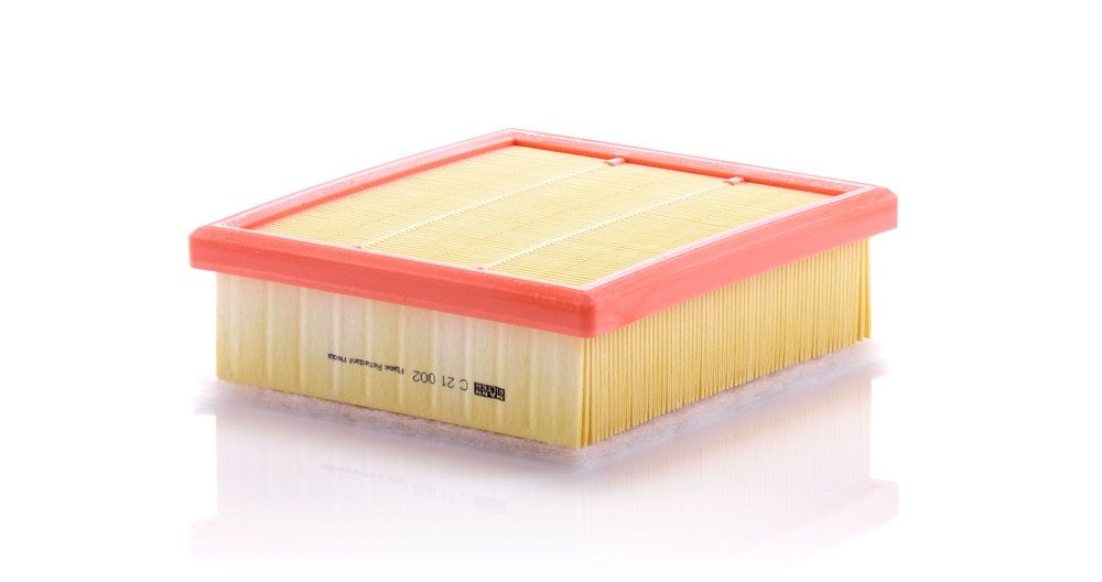 MANN-FILTER C 21 002 - Luftfilter
