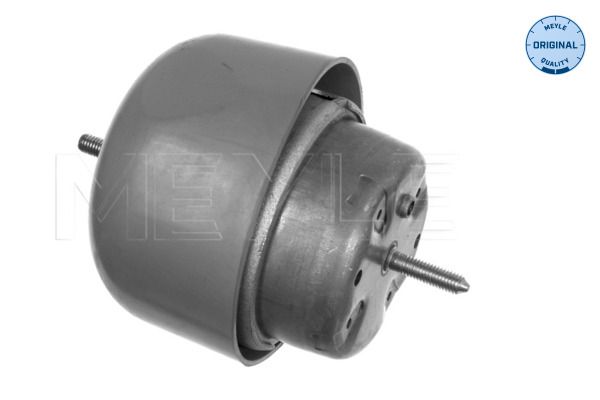 MEYLE 100 199 0048 - Lagerung, Motor