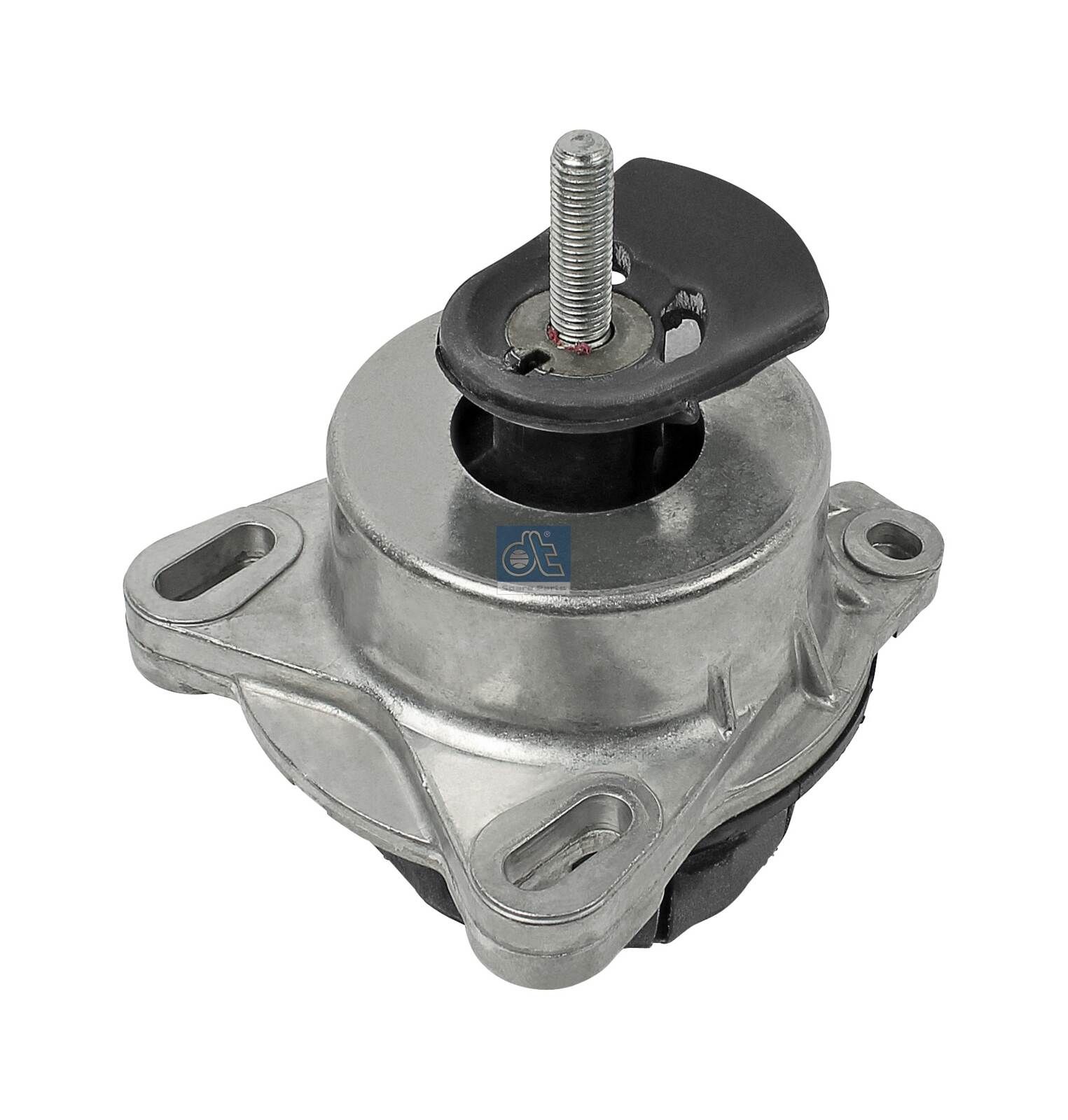 DT Spare Parts 13.88218 - Lagerung, Motor