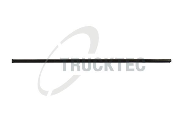 TRUCKTEC AUTOMOTIVE 02.52.105 - Zier-/Schutzleiste, Tür