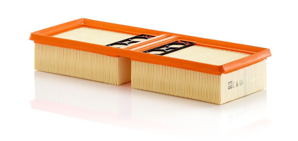 MANN-FILTER C 36 031 - Luftfilter