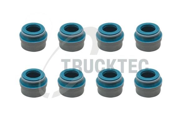 TRUCKTEC AUTOMOTIVE 02.43.008 - Dichtungssatz, Ventilschaft