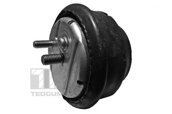 TEDGUM 00089808 - Lagerung, Motor