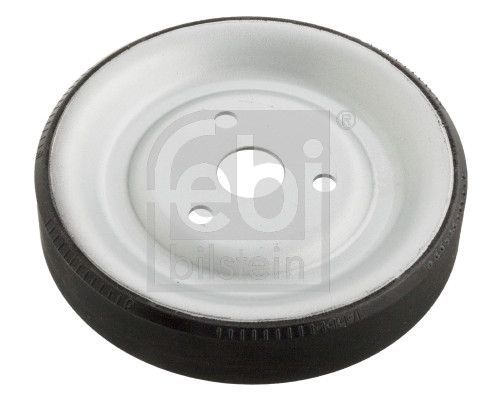 FEBI BILSTEIN 102466 - Riemenscheibe, Wasserpumpe