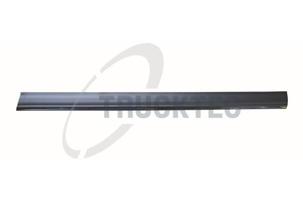 TRUCKTEC AUTOMOTIVE 02.52.134 - Zier-/Schutzleiste, Tür
