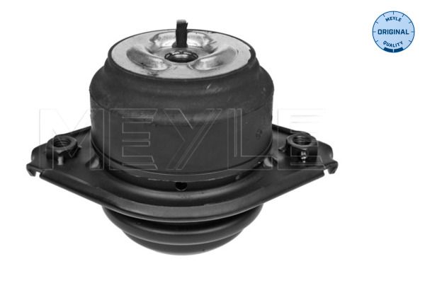 MEYLE 014 024 0120 - Lagerung, Motor