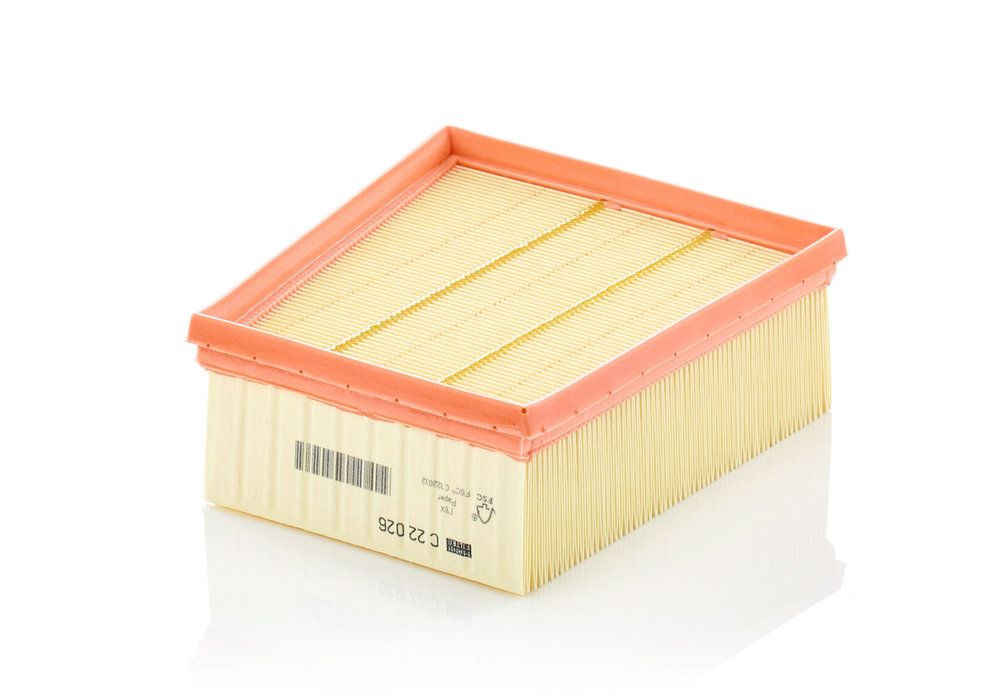 MANN-FILTER C 22 026 - Luftfilter