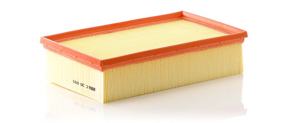 MANN-FILTER C 30 005 - Luftfilter