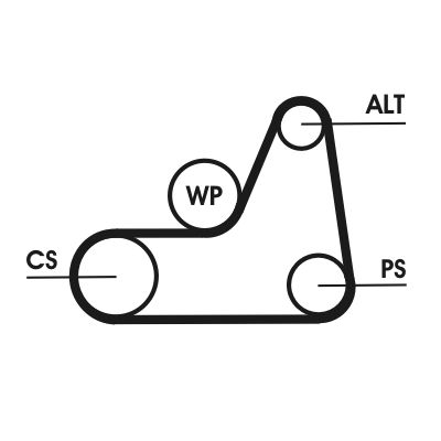 CONTINENTAL CTAM 6PK1042 ELAST - Keilrippenriemen