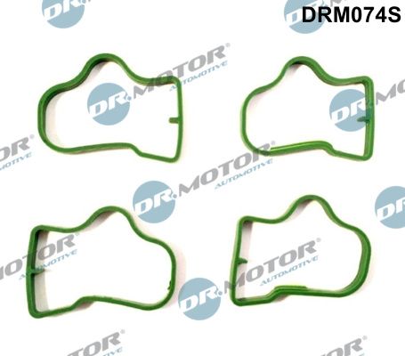 Dr.Motor Automotive DRM074S - Dichtungssatz, Ansaugkrümmer