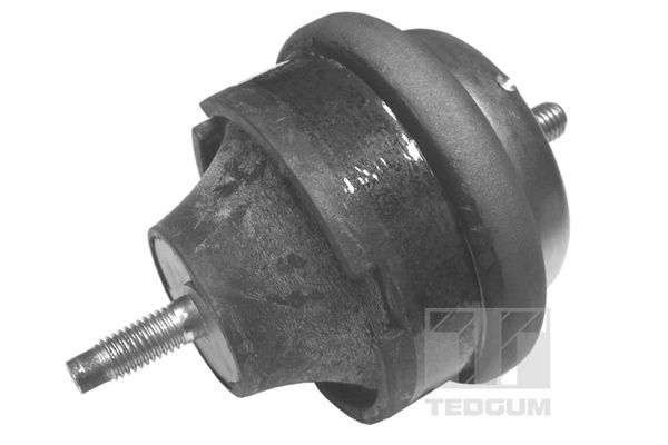 TEDGUM 00145015 - Lagerung, Motor