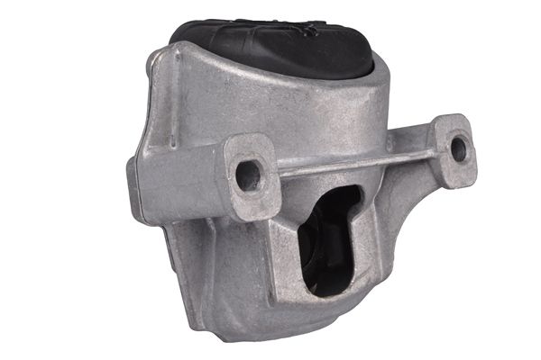TEDGUM 00058470 - Lagerung, Motor