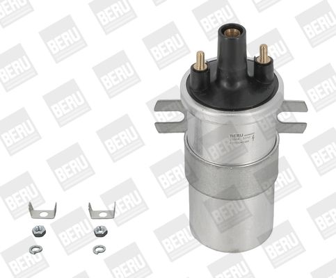 BorgWarner (BERU) ZS564 - Zündspule