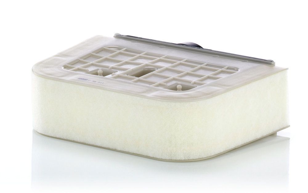 MANN-FILTER C 38 011 - Luftfilter