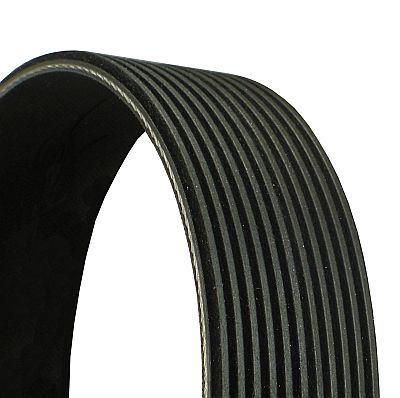 CONTINENTAL CTAM 11PK1515 - Keilrippenriemen