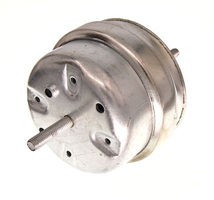 MAXGEAR 40-0101 - Lagerung, Motor