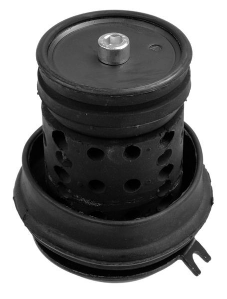 LEMFÖRDER 14361 02 - Lagerung, Motor