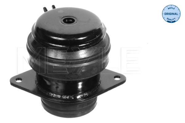 MEYLE 100 199 0073 - Lagerung, Motor