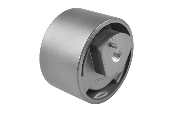 TEDGUM 00129963 - Lagerung, Motor