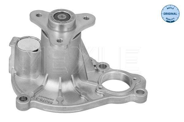 MEYLE 313 220 0031 - Wasserpumpe, Motorkühlung