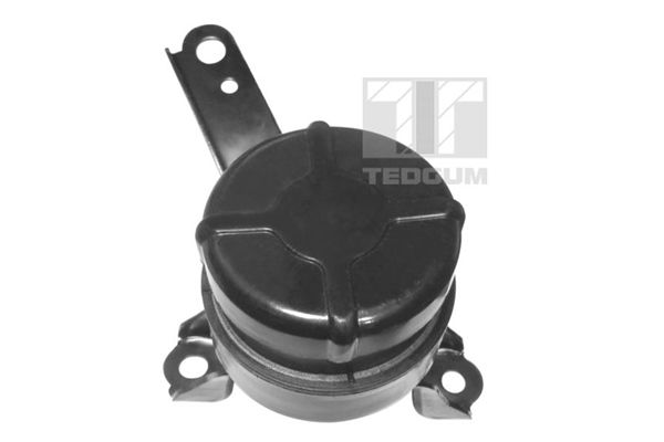 TEDGUM 00672451 - Lagerung, Motor