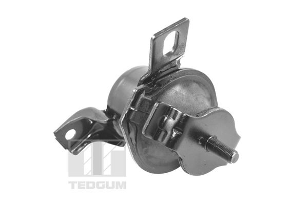 TEDGUM 00441120 - Lagerung, Motor