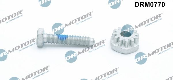Dr.Motor Automotive DRM0770 - Spannschraube, Generatorhalter