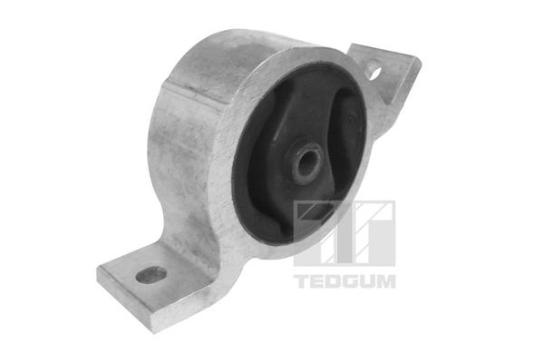 TEDGUM 00466219 - Lagerung, Motor