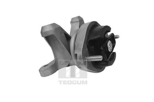 TEDGUM 00058910 - Lagerung, Motor
