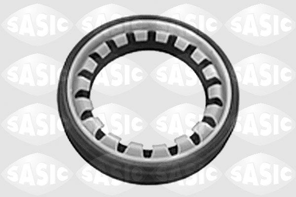 SASIC 1213273 - Wellendichtring, Differential