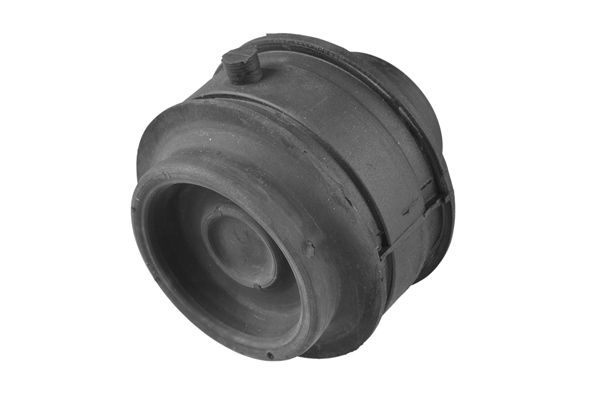 TEDGUM 00725103 - Lagerung, Motor