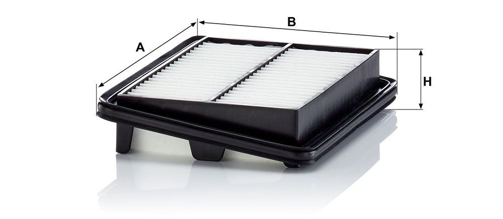 MANN-FILTER C 22 060 - Luftfilter