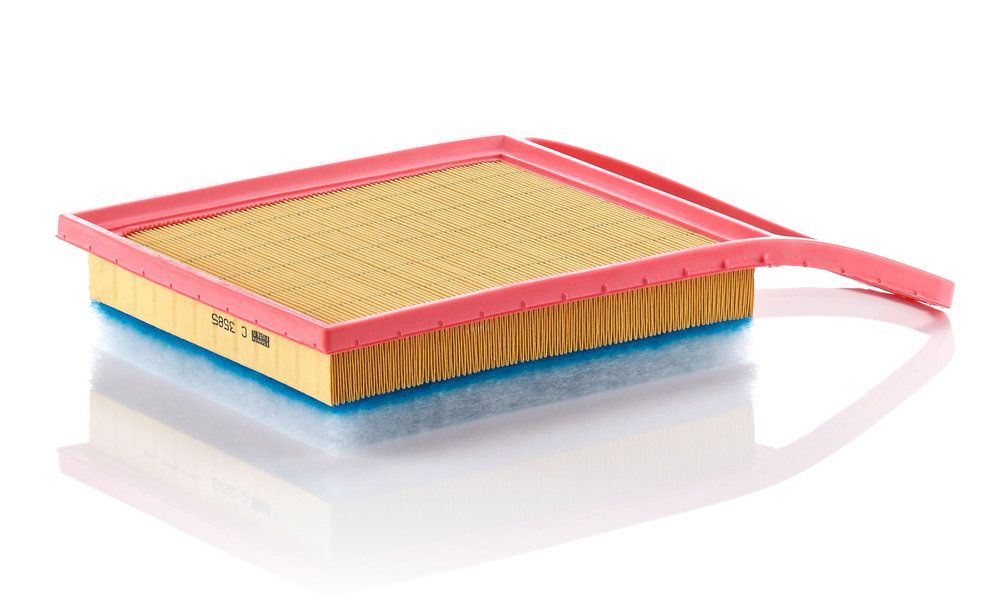 MANN-FILTER C 3585 - Luftfilter