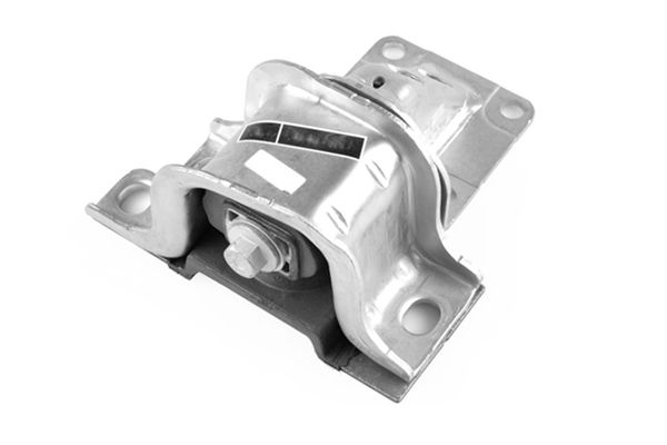 TEDGUM 00219302 - Lagerung, Motor