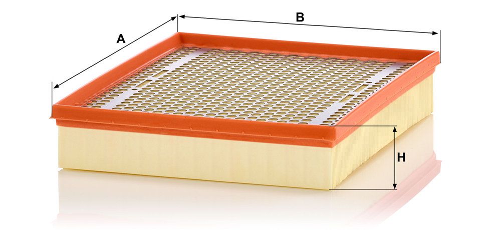 MANN-FILTER C 30 039 - Luftfilter