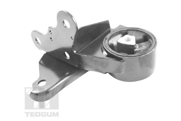 TEDGUM 00131530 - Lagerung, Motor
