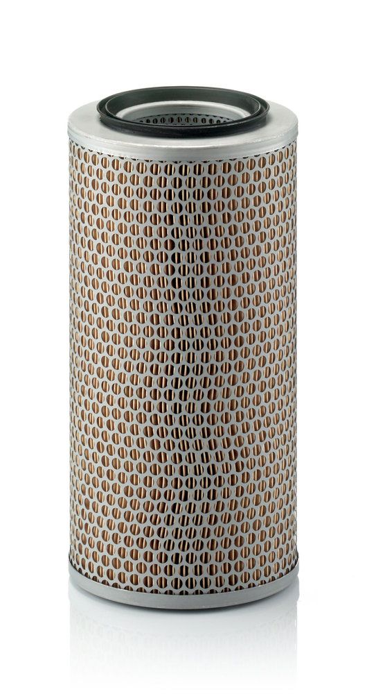MANN-FILTER C 17 250 - Luftfilter