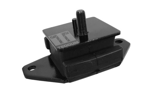 TEDGUM 00672456 - Lagerung, Motor
