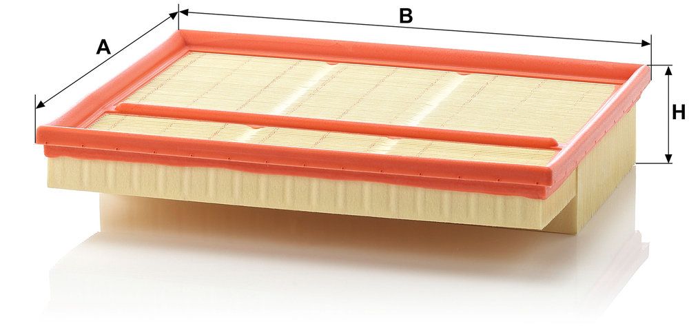 MANN-FILTER C 30 195/2 - Luftfilter