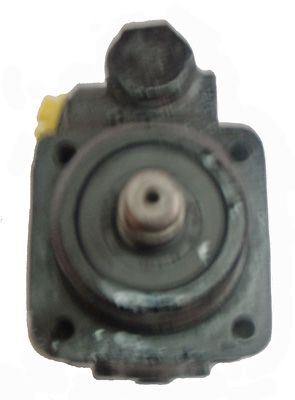 LIZARTE 04.45.0320 - Hydraulikpumpe, Lenkung