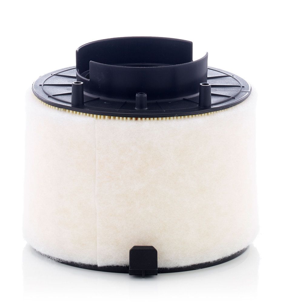 MANN-FILTER C 17 009 - Luftfilter