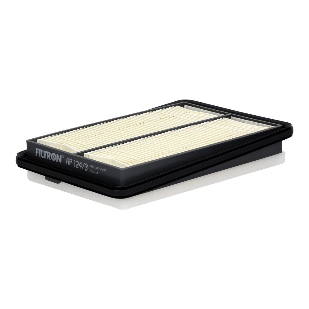 FILTRON AP 124/3 - Luftfilter