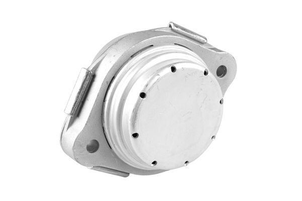 TEDGUM 00088521 - Lagerung, Motor