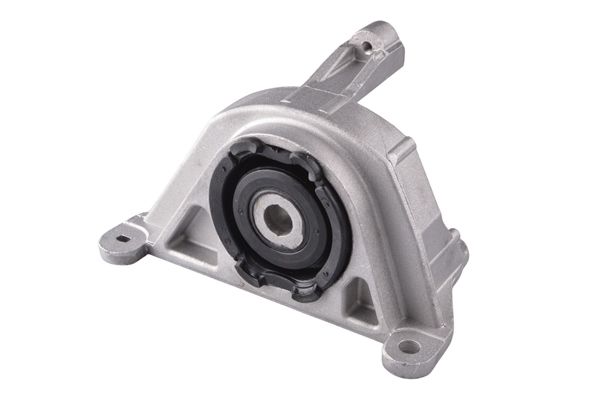 TEDGUM 00215780 - Lagerung, Motor