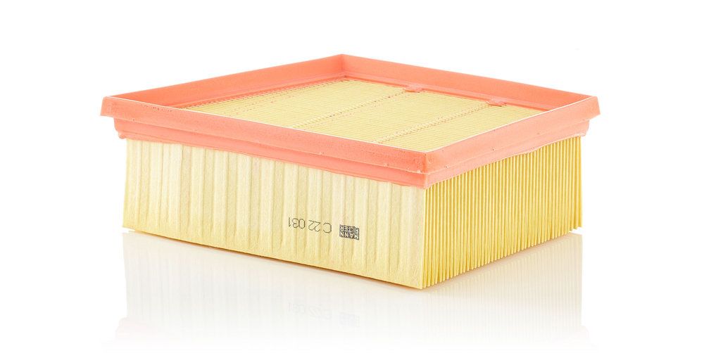 MANN-FILTER C 22 031 - Luftfilter