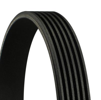 CONTINENTAL CTAM 6PK1026 - Keilrippenriemen