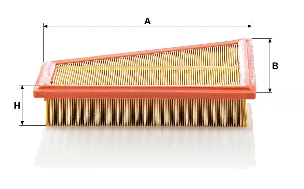 MANN-FILTER C 27 125 - Luftfilter